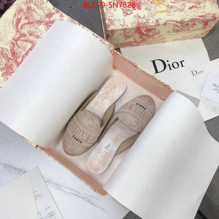 Women Shoes-Dior,1:1 replica wholesale , ID: SN7828,$: 99USD