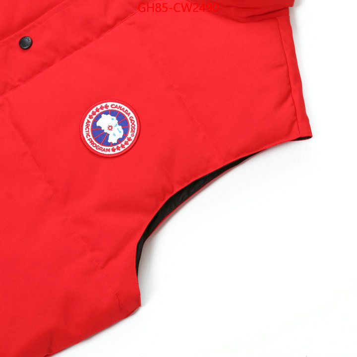 Down jacket Men-Canada Goose,best quality replica , ID: CW2490,$: 85USD