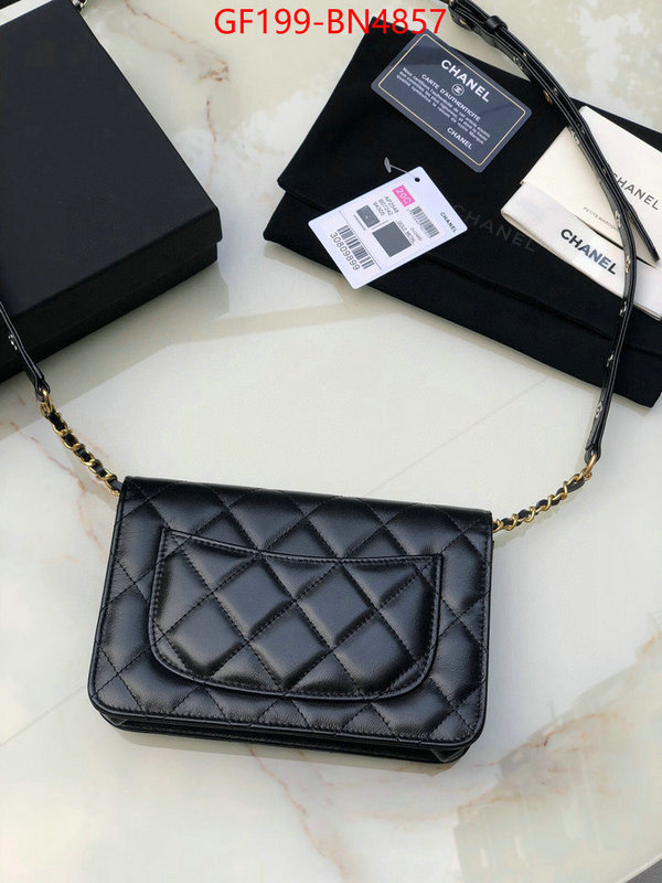 Chanel Bags(TOP)-Diagonal-,ID: BN4857,$: 199USD