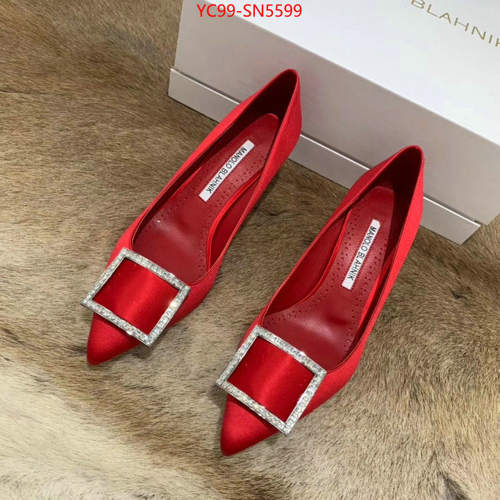 Women Shoes-Manolo Blahnik,7 star collection ,fake cheap best online , ID: SN5599,$: 99USD