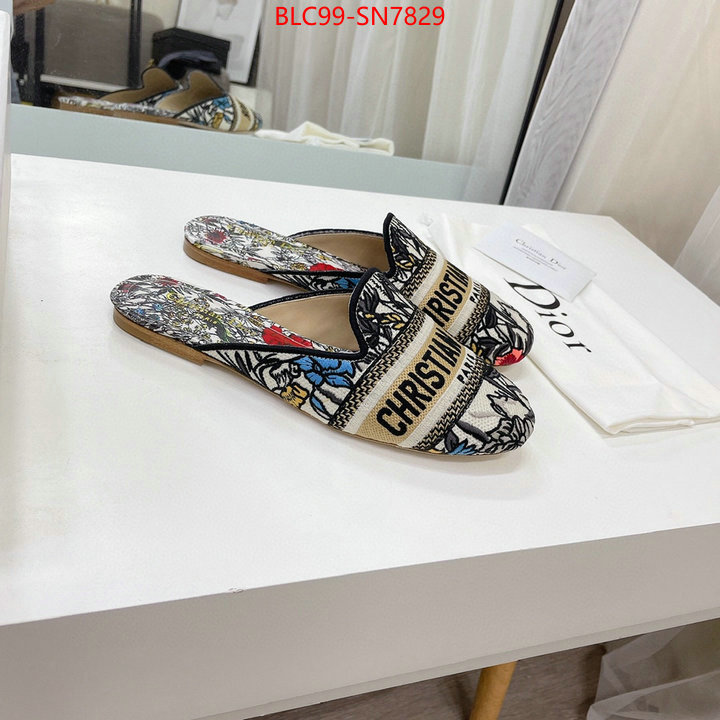 Women Shoes-Dior,website to buy replica , ID: SN7829,$: 99USD