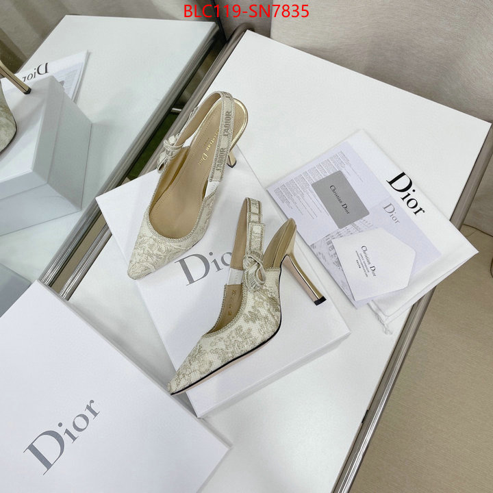 Women Shoes-Dior,styles & where to buy , ID: SN7835,$: 119USD