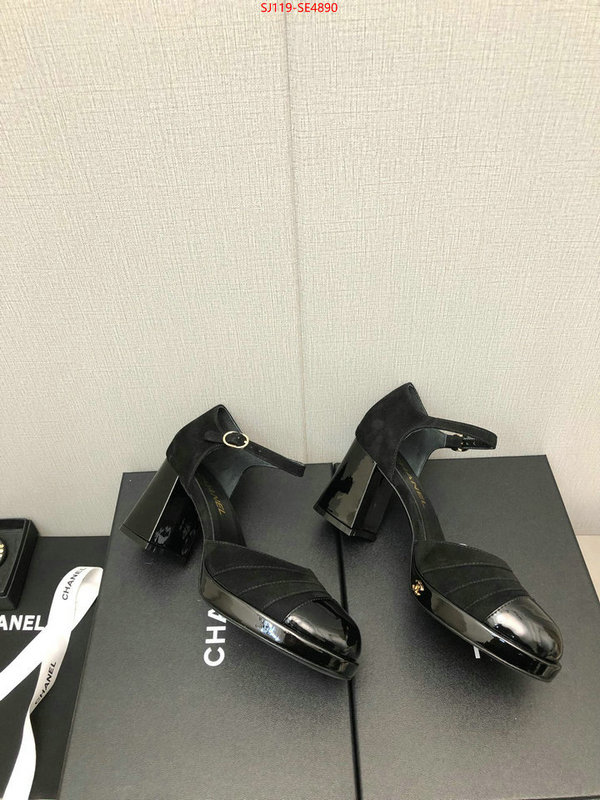 Women Shoes-Chanel,how to buy replica shop , ID: SE4890,$: 119USD