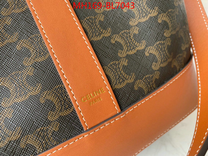 CELINE Bags(TOP)-Diagonal,is it illegal to buy ,ID: BL7043,$: 169USD