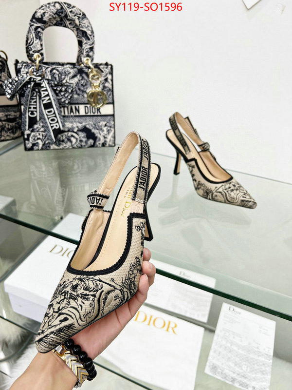 Women Shoes-Dior,high quality online , ID: SO1596,$: 119USD