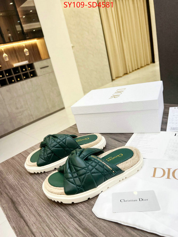 Women Shoes-Dior,perfect quality designer replica , ID: SD4581,$: 109USD