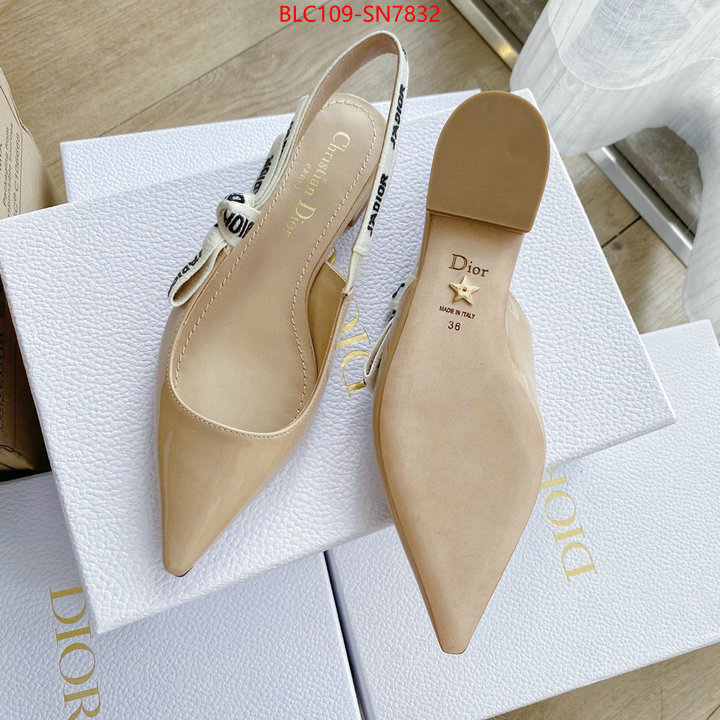 Women Shoes-Dior,2023 replica , ID: SN7832,$: 109USD