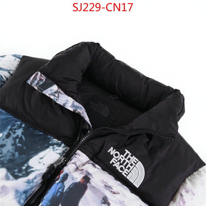 Down jacket Women-The North Face,the highest quality fake , ID: CN17,$: 229USD