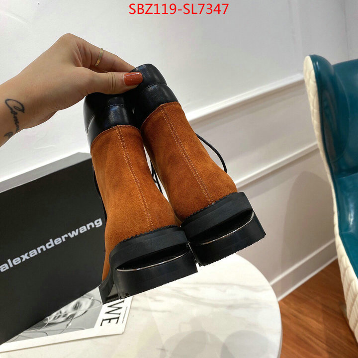 Women Shoes-Alexander Wang,designer fake , ID: SL7347,$: 119USD