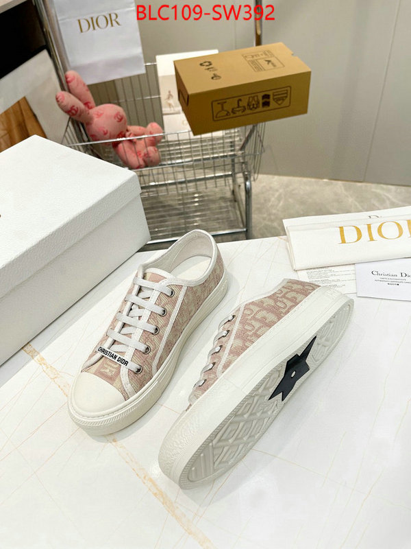 Women Shoes-Dior,what's the best place to buy replica , ID: SW392,$: 109USD