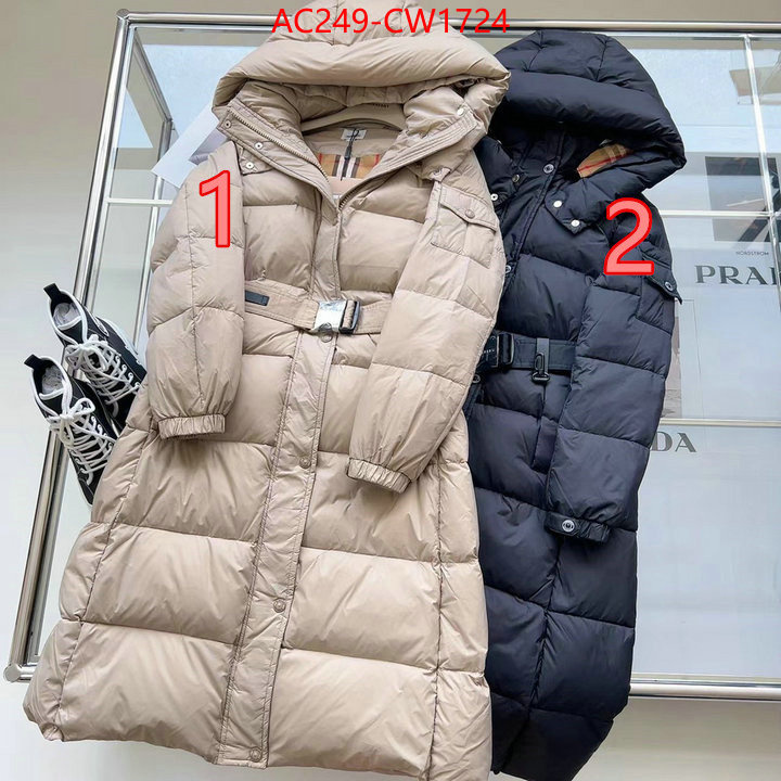 Down jacket Women-Burberry,the best quality replica , ID: CW1724,$: 249USD