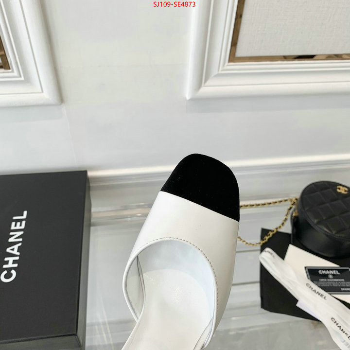 Women Shoes-Chanel,how to buy replica shop , ID: SE4873,$: 109USD