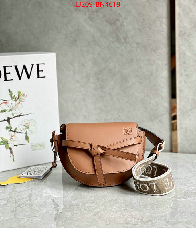 Loewe Bags(TOP)-Diagonal-,replica 1:1 high quality ,ID: BN4619,$: 209USD