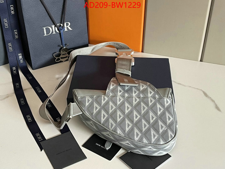 Dior Bags(TOP)-Saddle-,ID: BW1229,$: 209USD