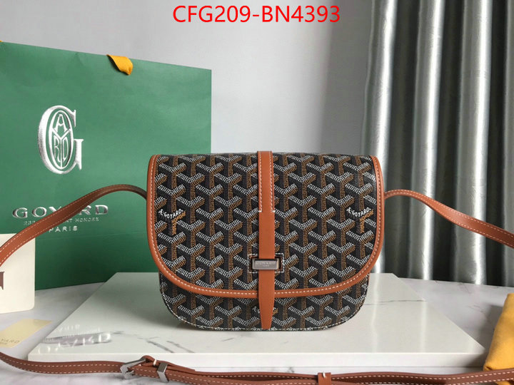 Goyard Bags(TOP)-Diagonal-,ID: BN4393,$: 209USD