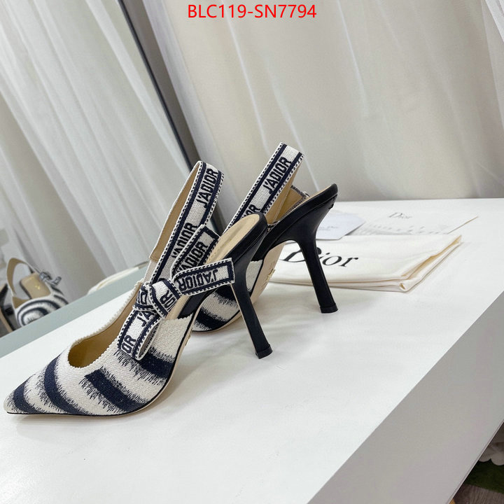 Women Shoes-Dior,online store , ID: SN7794,$: 119USD