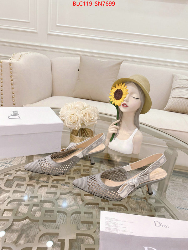 Women Shoes-Dior,buy replica , ID: SN7699,$: 119USD