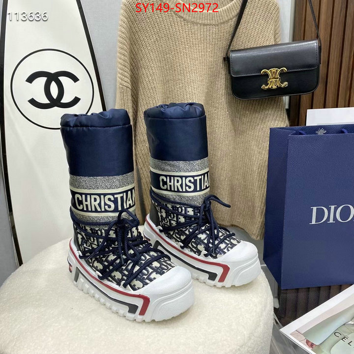 Women Shoes-Dior,buy first copy replica , ID: SN2972,$: 149USD