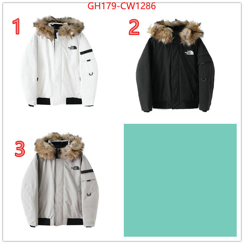 Down jacket Men-The North Face,the quality replica , ID: CW1286,$: 179USD