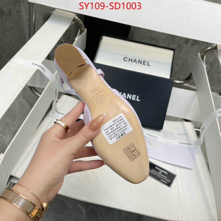 Women Shoes-Chanel,buy online , ID: SD1003,$: 109USD