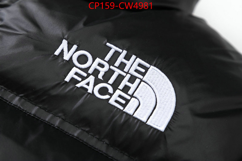 Down jacket Women-The North Face,where can you buy replica , ID: CW4981,$: 159USD