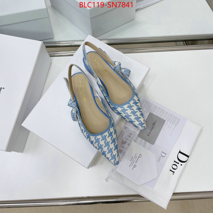 Women Shoes-Dior,outlet 1:1 replica , ID: SN7841,$: 119USD