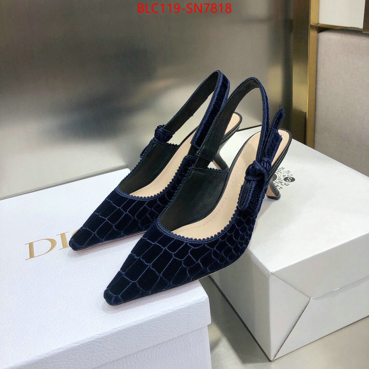 Women Shoes-Dior,aaaaa+ quality replica , ID: SN7818,$: 119USD