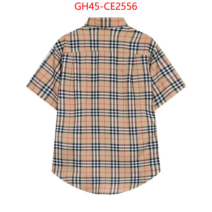 Clothing-Burberry,buy the best replica , ID: CE2556,$: 45USD