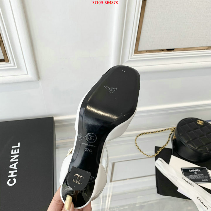 Women Shoes-Chanel,how to buy replica shop , ID: SE4873,$: 109USD