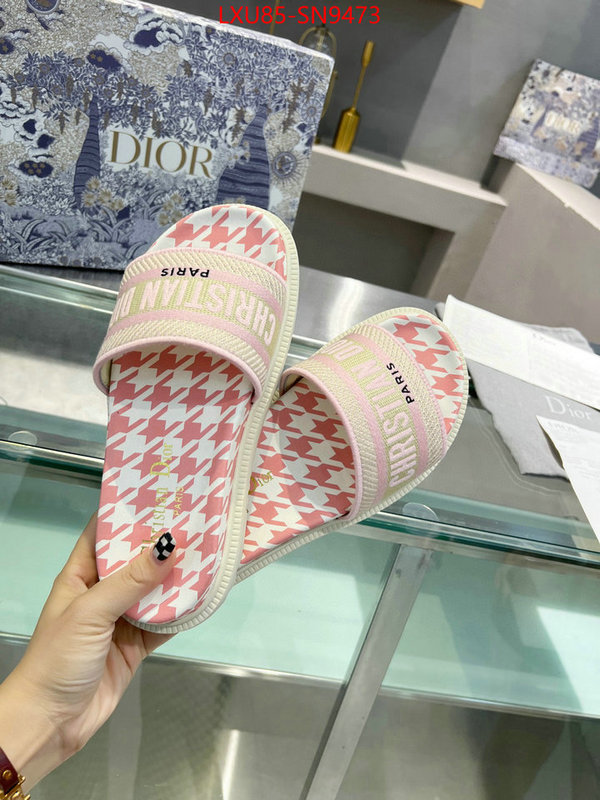 Women Shoes-Dior,sellers online , ID: SN9473,$: 85USD