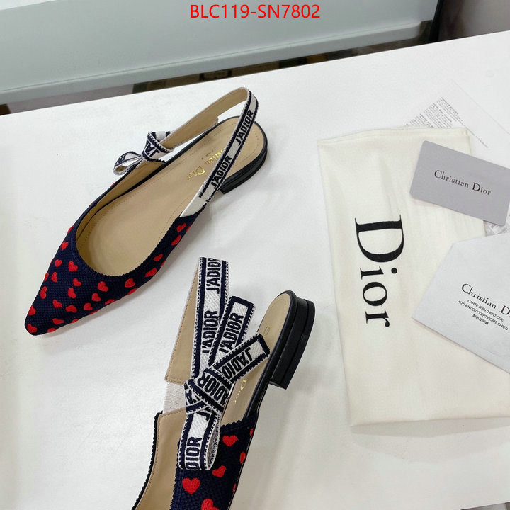 Women Shoes-Dior,high end designer , ID: SN7802,$: 119USD