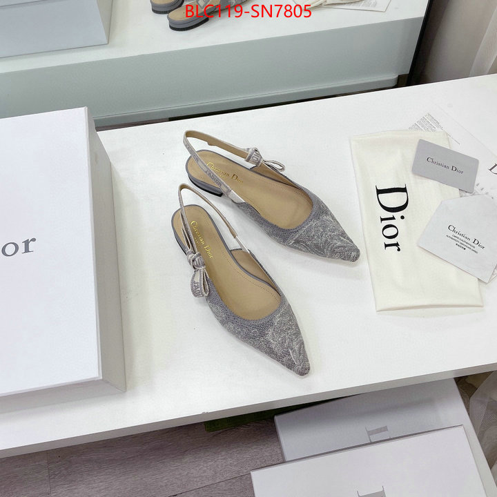 Women Shoes-Dior,the top ultimate knockoff , ID: SN7805,$: 119USD