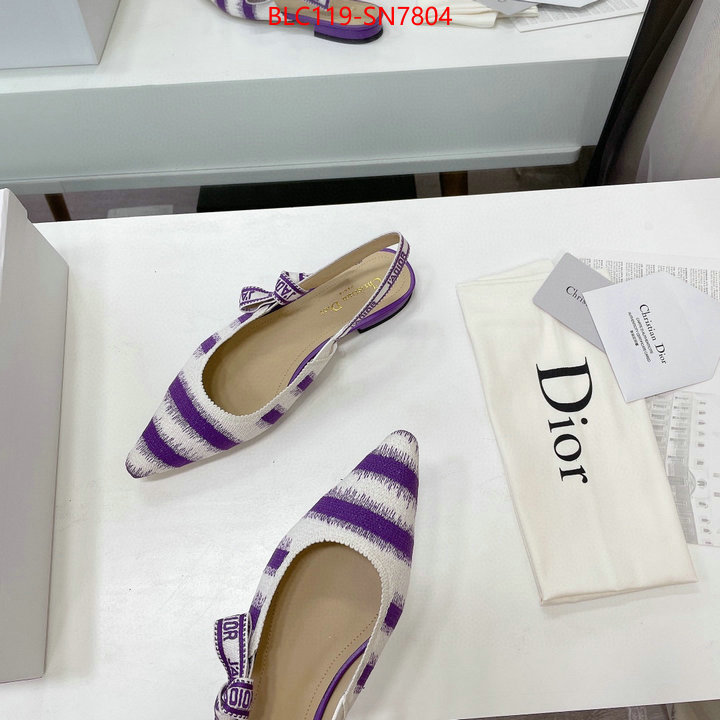 Women Shoes-Dior,wholesale designer shop , ID: SN7804,$: 119USD