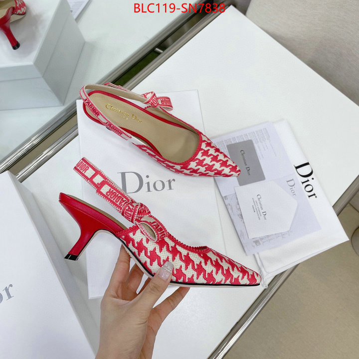 Women Shoes-Dior,can i buy replica , ID: SN7838,$: 119USD