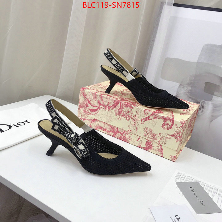 Women Shoes-Dior,shop cheap high quality 1:1 replica , ID: SN7815,$: 119USD