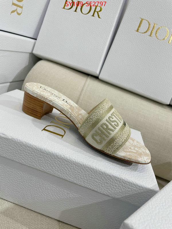 Women Shoes-Dior,shop the best high authentic quality replica , ID: SE2797,$: 109USD