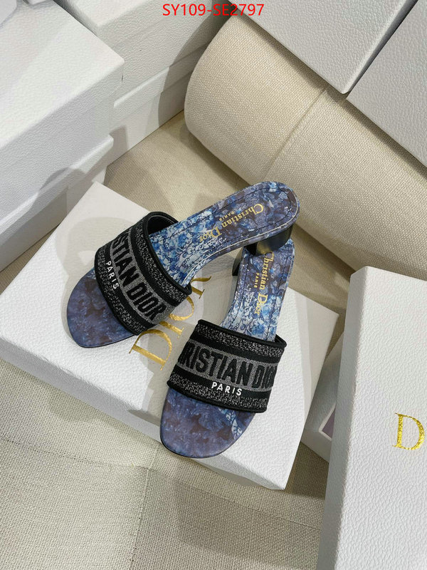 Women Shoes-Dior,shop the best high authentic quality replica , ID: SE2797,$: 109USD