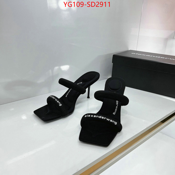 Women Shoes-Alexander Wang,where can you buy replica , ID: SD2911,$: 109USD