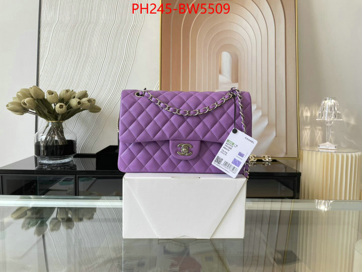 Chanel Bags(TOP)-Diagonal-,ID: BW5509,$: 245USD