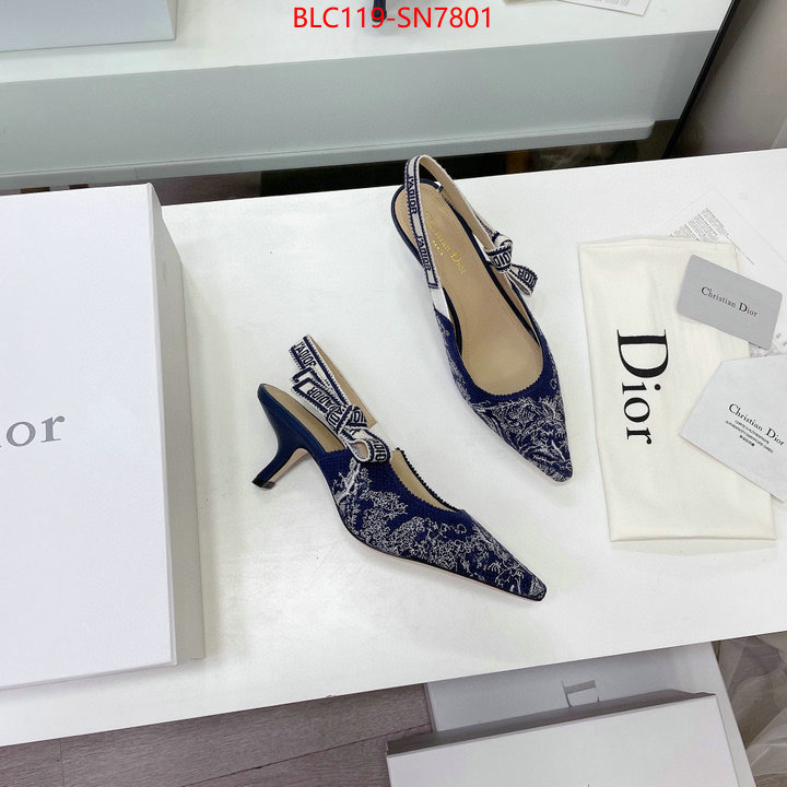 Women Shoes-Dior,what 1:1 replica , ID: SN7801,$: 119USD