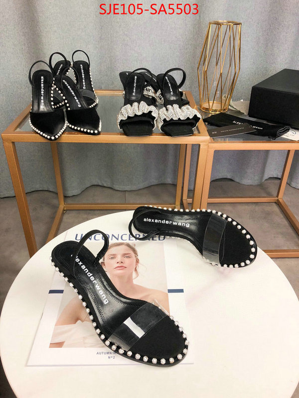 Women Shoes-Alexander Wang,replica designer , ID: SA5503,$: 105USD