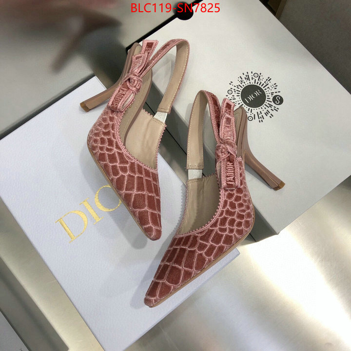 Women Shoes-Dior,buy 1:1 , ID: SN7825,$: 119USD