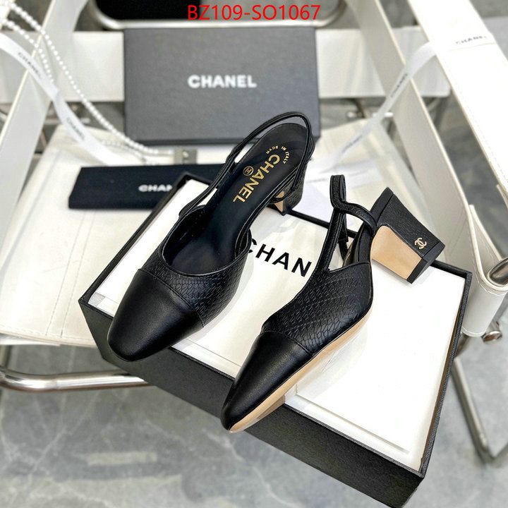 Women Shoes-Chanel,brand designer replica , ID: SO1067,$: 109USD