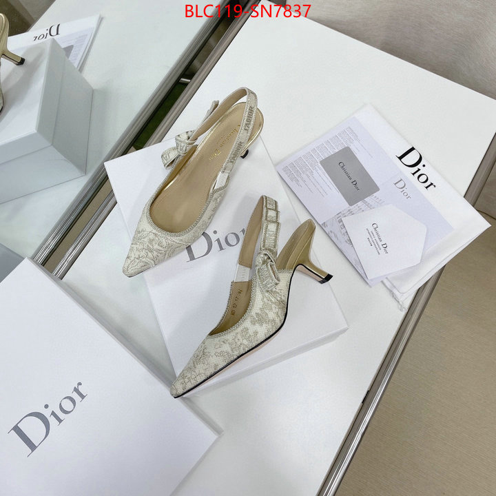 Women Shoes-Dior,replicas , ID: SN7837,$: 119USD