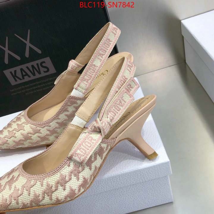 Women Shoes-Dior,designer 7 star replica , ID: SN7842,$: 119USD