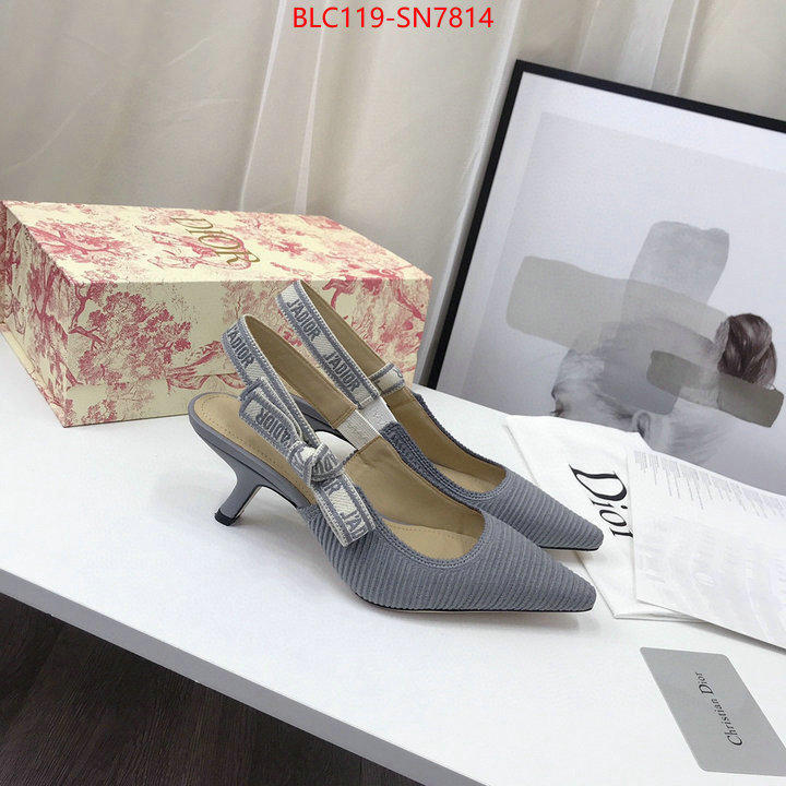 Women Shoes-Dior,how to find replica shop , ID: SN7814,$: 119USD