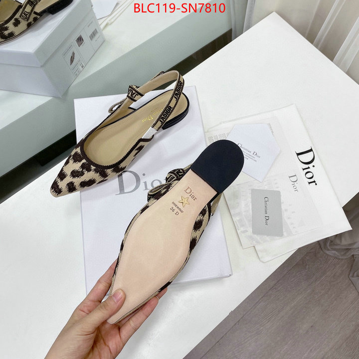 Women Shoes-Dior,7 star , ID: SN7810,$: 119USD