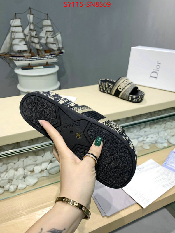 Women Shoes-Dior,sell online , ID: SN8509,$: 115USD