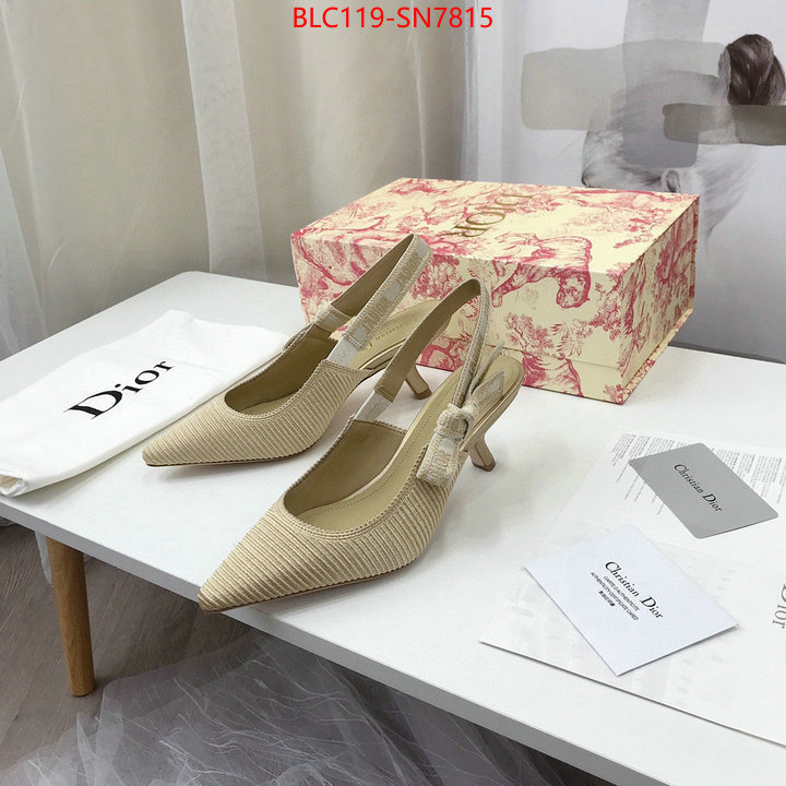 Women Shoes-Dior,shop cheap high quality 1:1 replica , ID: SN7815,$: 119USD