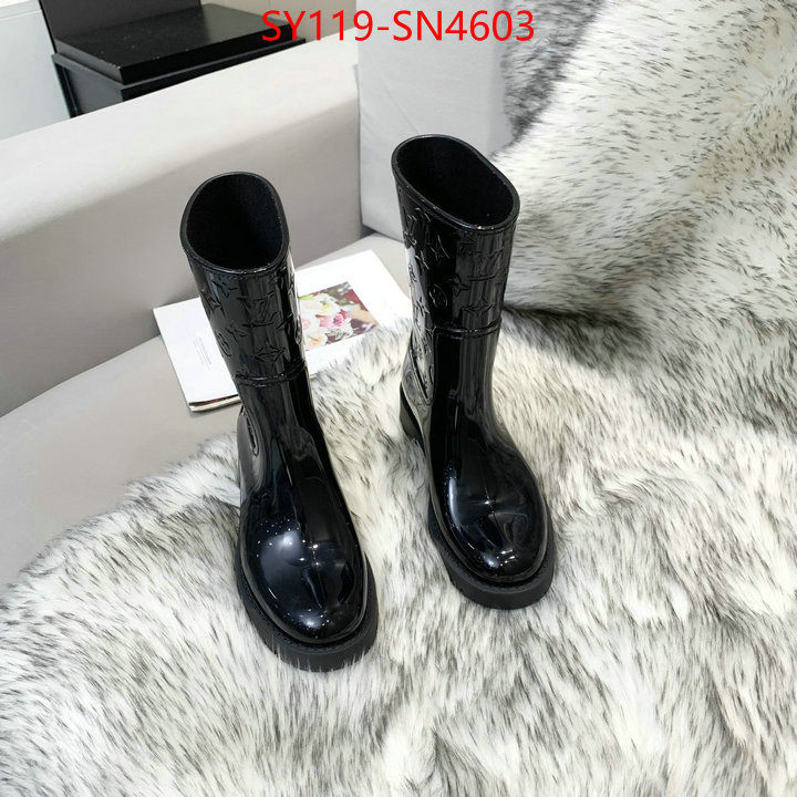 Women Shoes-LV,aaaaa class replica , ID: SN4603,$: 119USD